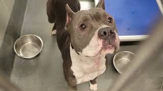 acs A677780