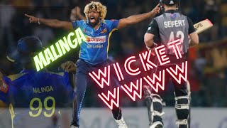 lasith malinga99 NZ 4 WWWW wikets #2023 #cricket #nz