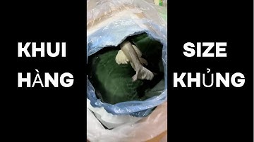 Unbox cá chép PHI TẦN size khủng - Beautiful Taiwan butterfly carp