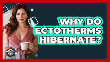 Why Do Ectotherms Hibernate? - The Everyday Why