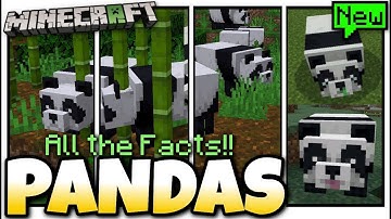 Minecraft - PANDAS - All the Facts! [ Explained ] Bedrock / Console / Java
