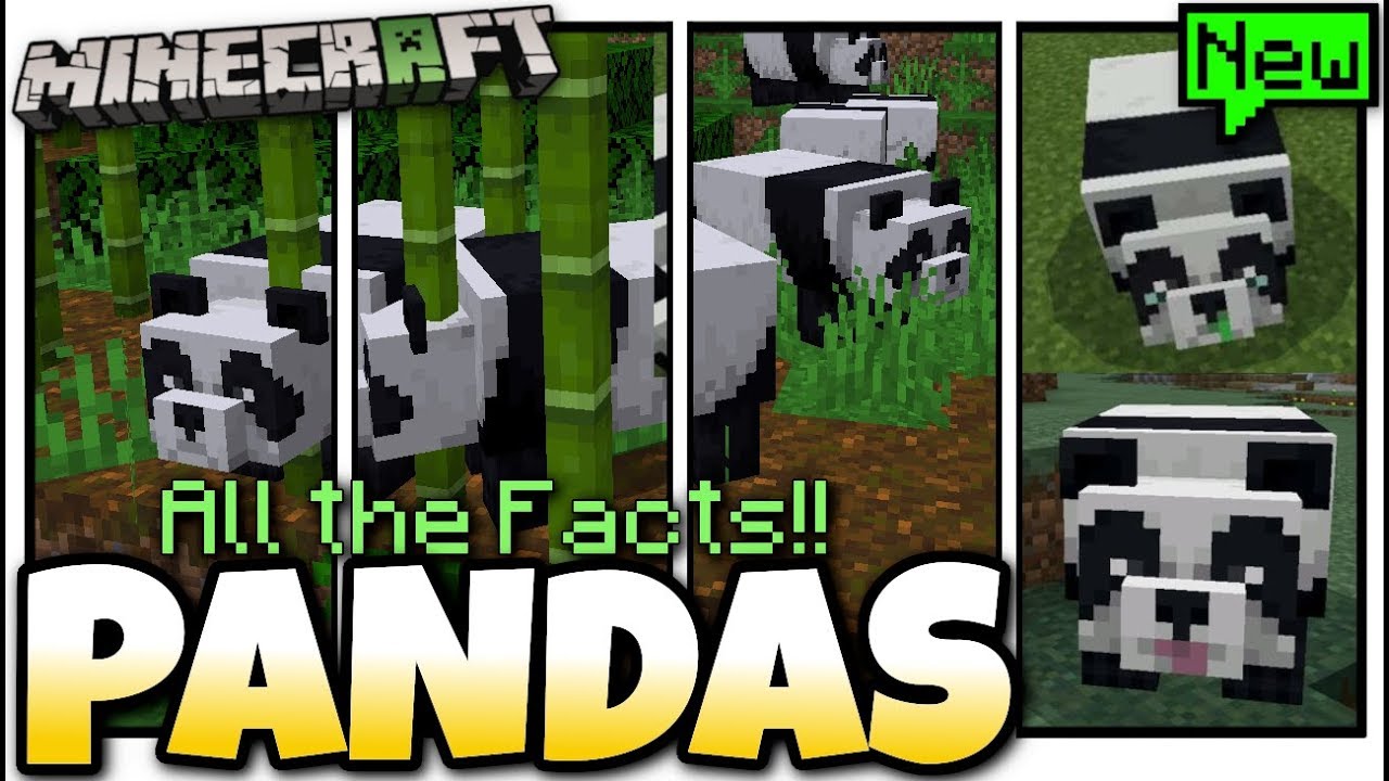 Minecraft - PANDAS - All the Facts! [ Explained ] Bedrock / Console ...
