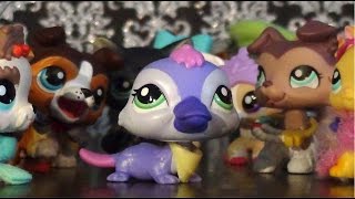 5 years on youtube: Party Platypus!