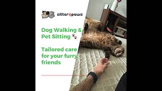 Sitter4Paws - Best Pet Sitters in Ft Lauderdale