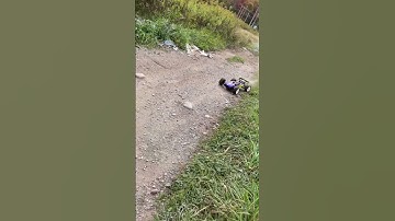 NITRO RC FULL THROTTLE !!!