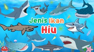Mengenal Jenis Jenis Ikan Hiu | Belajar Nama Binatang Laut | Shark | Sea Animals