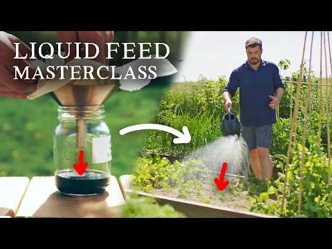 How to Make Powerful Liquid Feeds for Growing Food (Complete Guide)