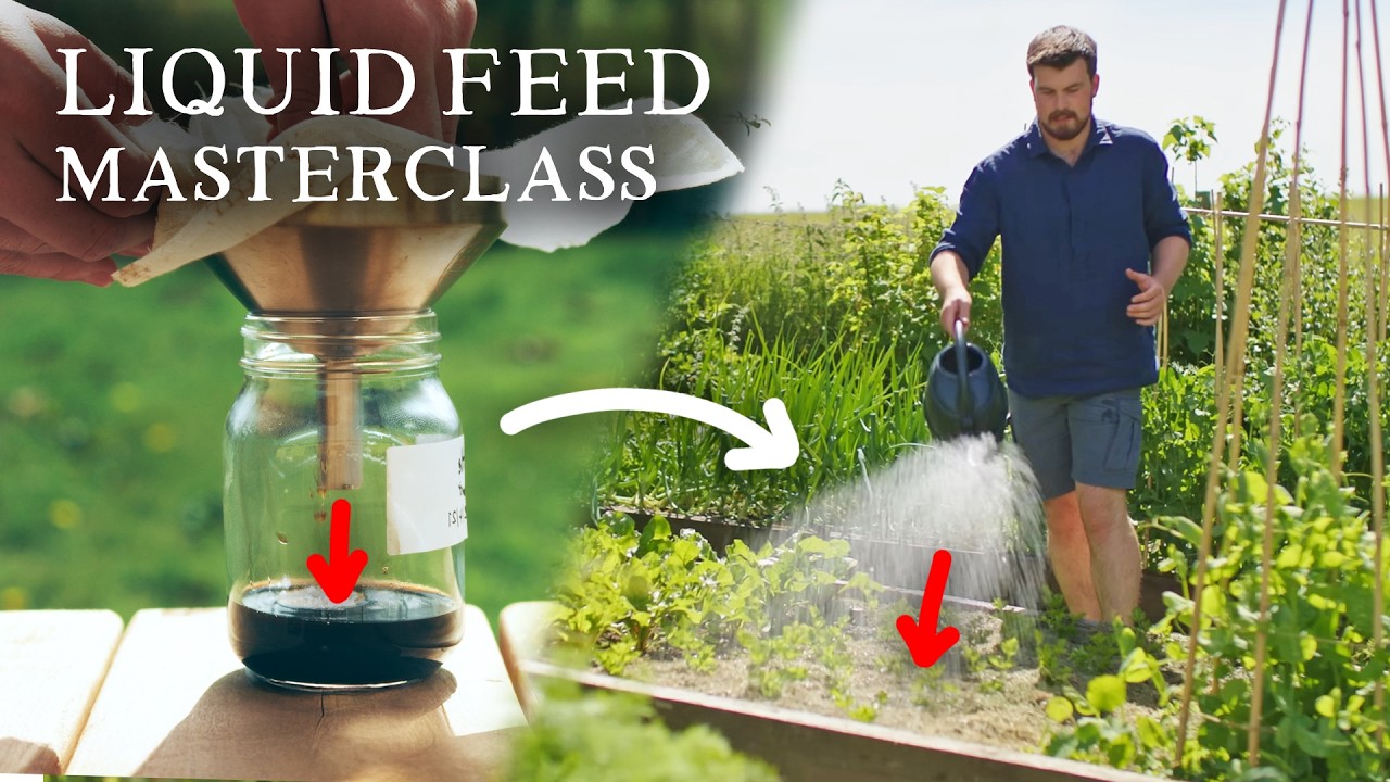How to Make Powerful Liquid Feeds for Growing Food (Complete Guide)