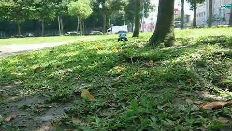 MST CFX-W JP1 攀岩車 公園慢走