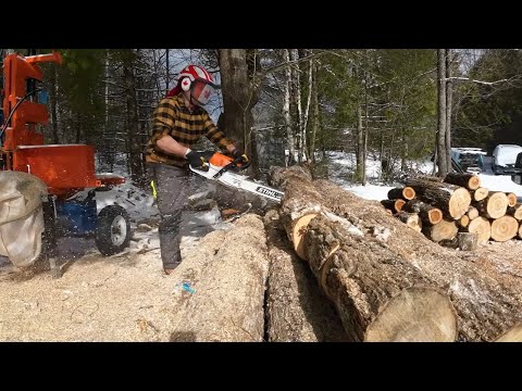 746 Husky Bob is Going To Be Jealous. STIHL MS462 28" Light Bar. Just Bucking Around. outdoors 4K