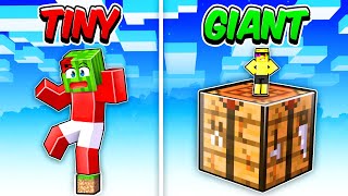 GIANT vs TINY One Block In Minecraft!