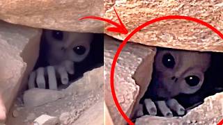 They Tried to Hide This: Breaking Down 18 Classified UFO Sightings!