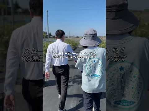7月、ついに収穫。ブルーベリー育ててみた結果 #shorts