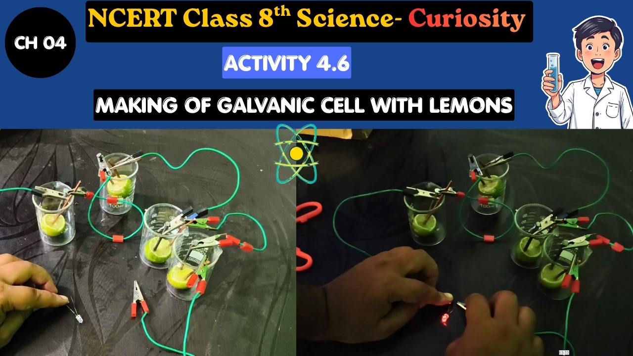 Activity 4.6 I Class 8 Science I Making Galvanic Cell with Lemon - YouTube