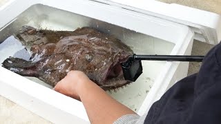 あんこうを怒らせるとこうなる