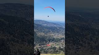 Paragliders Jumping Off Poo Poo Point Easter Sunday 2024