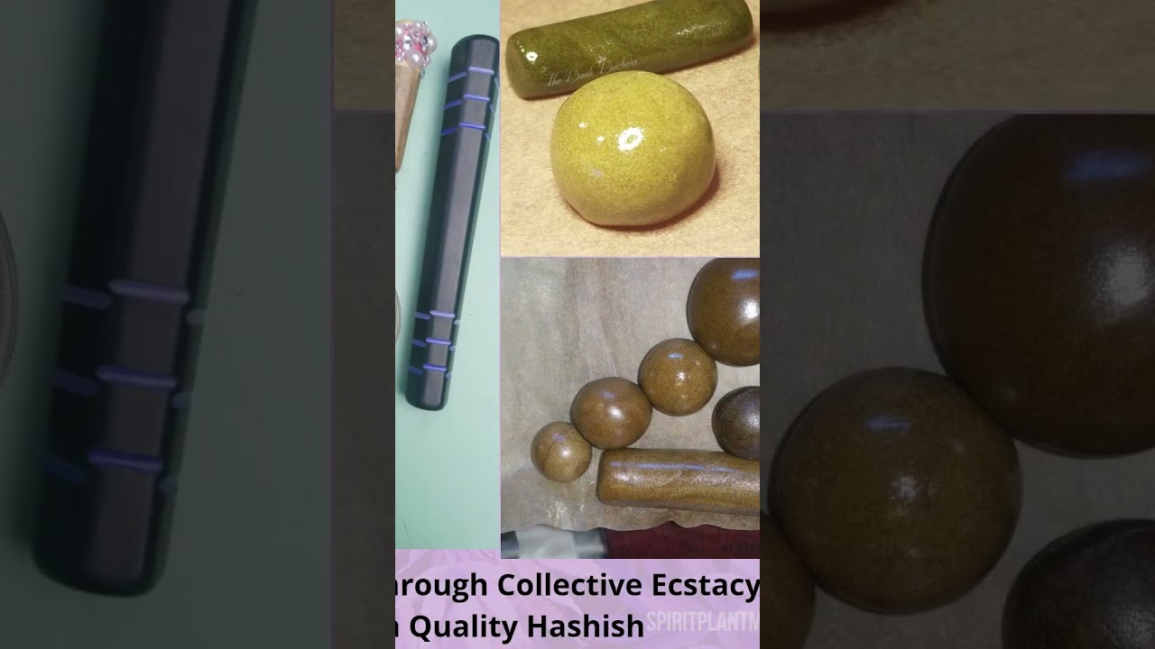 Hash Master Reveals the Surprising Truth About Potency and Experience