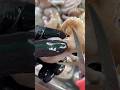 “Satisfying Baby Octopus Cleaning 😱 | Oddly Satisfying Seafood!”
