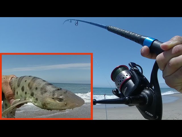 best 8wt fly reel for steelhead Leland Reel Co. Sonoma Bass Fly Reel 7-8wt