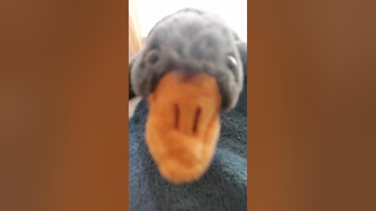 супер Сус - YouTube