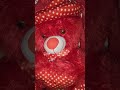 jindgi #ki kahani#video #blog #good #morning #jay