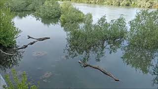 Река Днестр в апреле 2024, разлив реки по всем берегам, подтопление в Приднестровье 2024