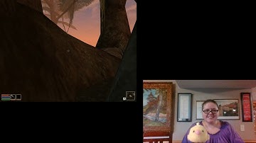 Lets Play Elder Scrolls Morrowind! Part 4 - Driving Muffin Crazy Collecting Stuff