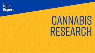What’s new in cannabis research?