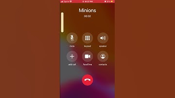 Thumbnail of A minion call?