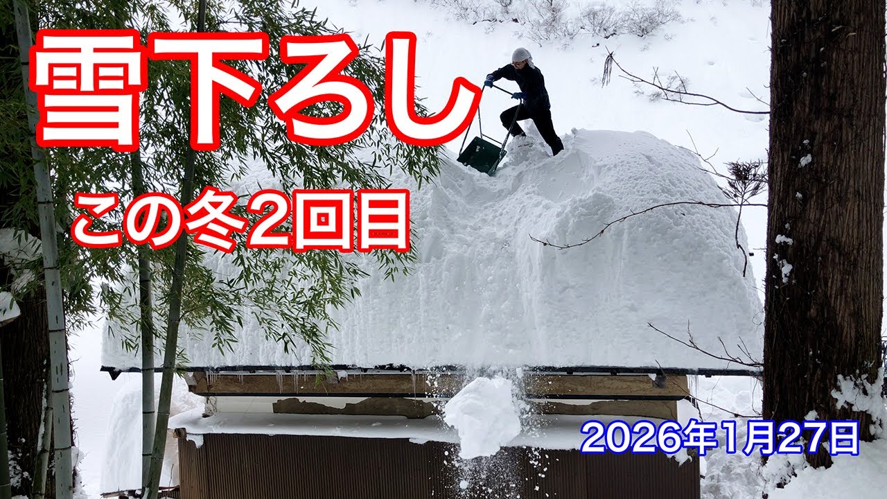 《等倍速》この冬2回目の屋根雪下ろし（蔵）続き 2026年1月27日　@新潟県十日町市大池 #snowremoval