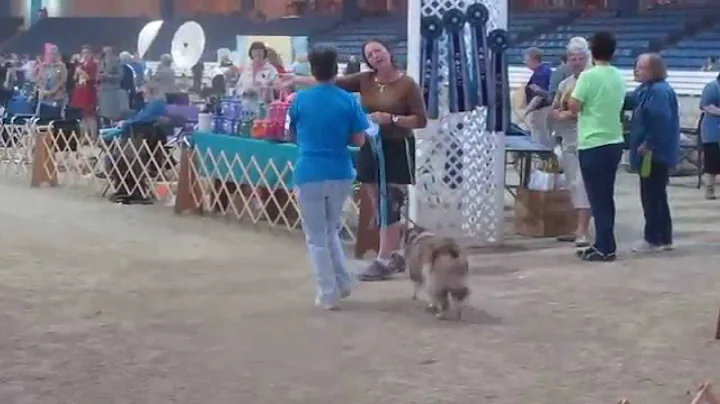 Chili and Darla in MVA