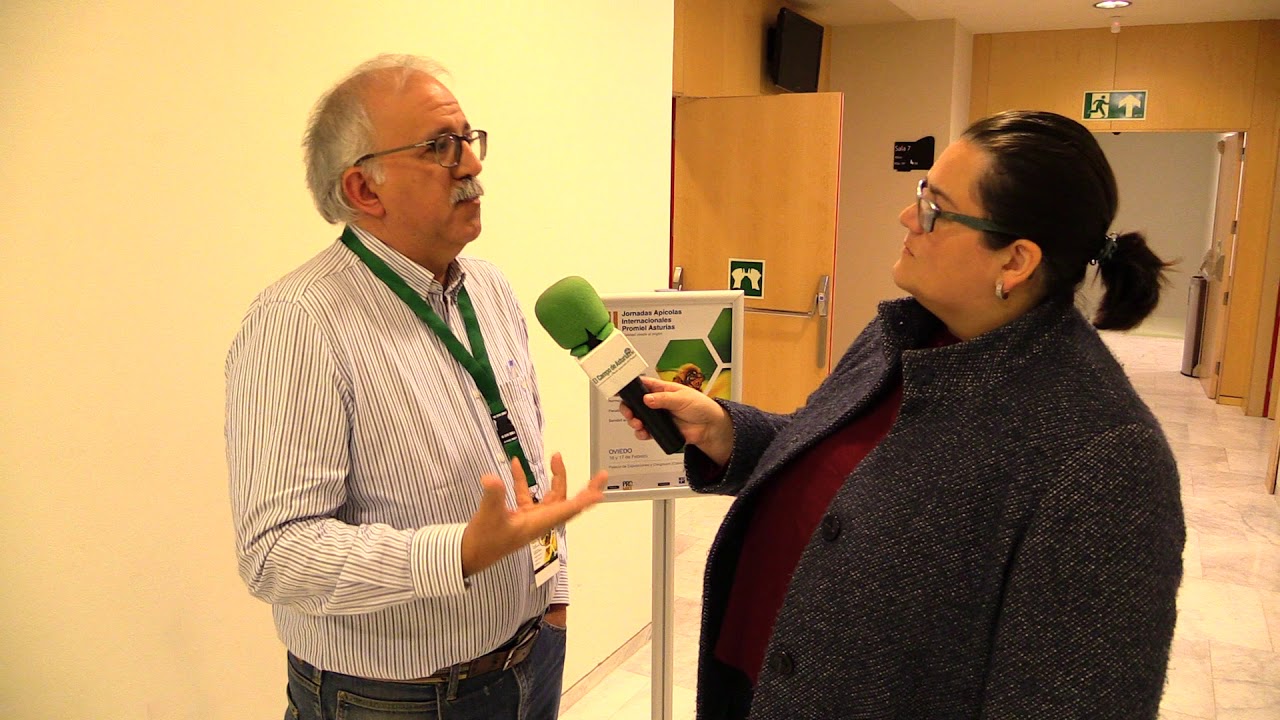 Entrevista a Jaume Cambra / El Campo de Asturias