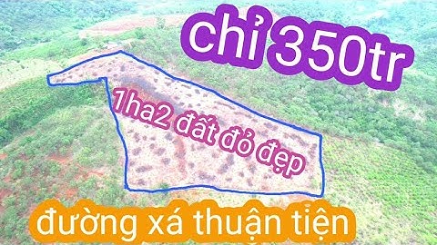 #đấtrẻđăknông# 1ha2 giá 350tr ,quảng tân tuy đức,đăk nông