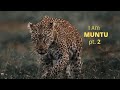 I Am MUNTU Pt 2 I Am MUNTU Pt 2