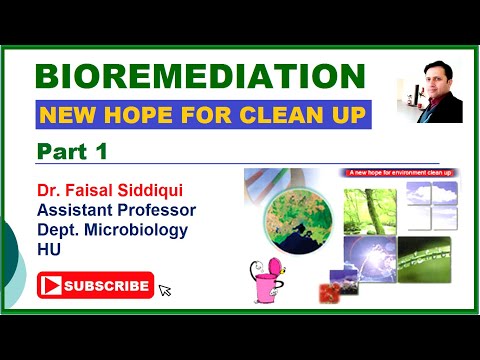 Bioremediation | What is bioremediation? | Remediation of Waste | Biotreatment | Biorestoration