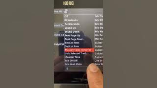 Korg PA5X: How to remove vocal from mp3 file for Korg PA5X. #korgpa5x #mp3 #vocal #remove