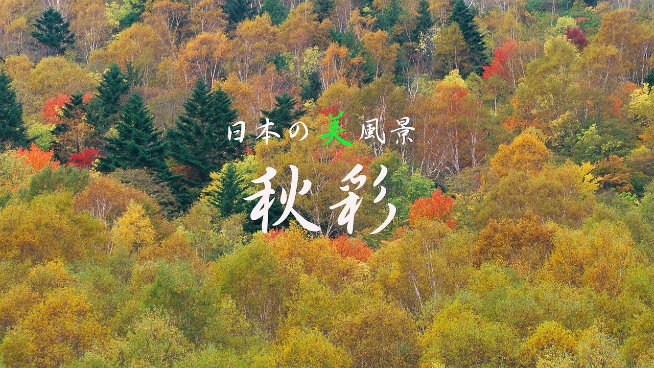 日本の美風景 秋彩 ４k Youtube