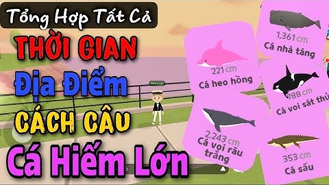 Play Together | Toàn Bộ Khung Giờ Và Cách Câu Cá Hiếm | Quí KA