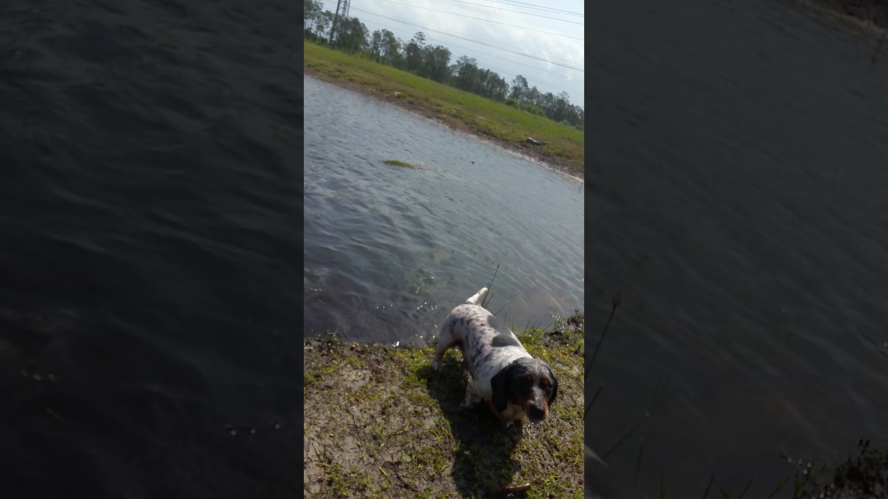 Everyday outing hands free instagram