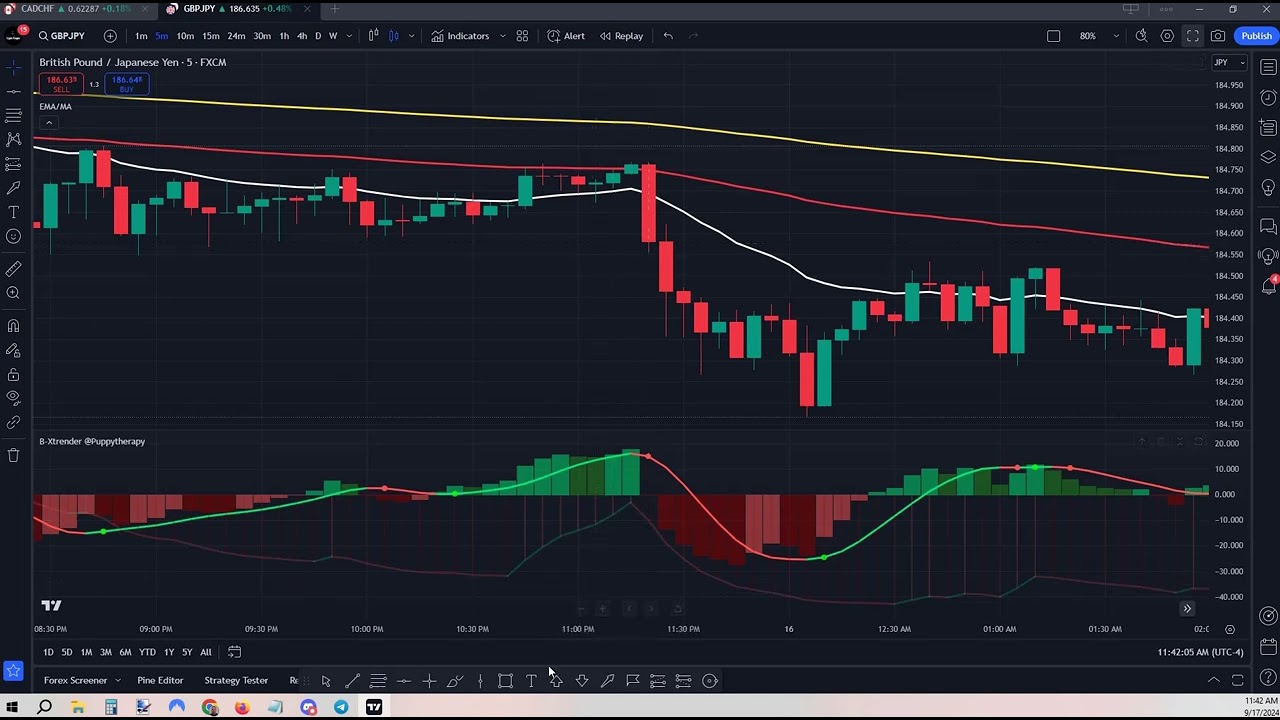 NEW 80% Strategy | Works for all markets(binary/forex/crypto/stocks/commodities) except OTC