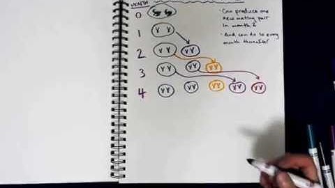 Recursion Part 2: Fibonacci Sequence