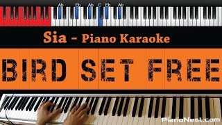 Download Lagu Sia - Bird Set Free - HIGHER Key (Piano Karaoke / Sing Along) MP3