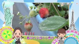【小主播看天下】預告 - 20150311-0318