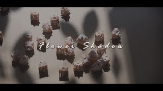 $0.50 LY Material Switches | BSUN Flower Shadow Review And Sound Test