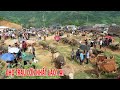 Đất mua bằng giấy tờ viết tay có được cấp sổ đỏ  1993