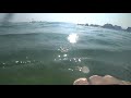 Балтийское море подводный мир mp4