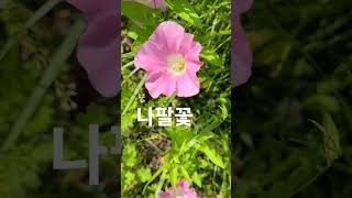 파주 운정호수공원 나들이~  자연은  활력을 선물합니다~