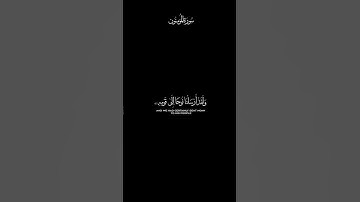 ولقد أرسلنا نوحًا إلى قومهِ_ياسر الدوسري_كرومات قرآن شاشه سوداء_#كرومات_قرآن #سورة_المؤمنون_#قرآن