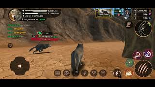Spending my 2,246 gems 💎 Upgrading Damage Boost - lvl 5 |  280 subscribers!! 🎉 The Wolf