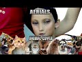 System Of A Down - Aerials (Animal Cover)